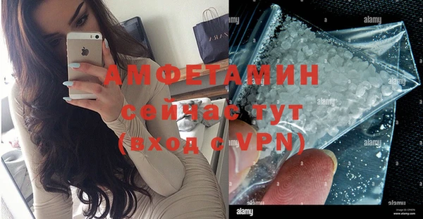 МДПВ Дмитриев