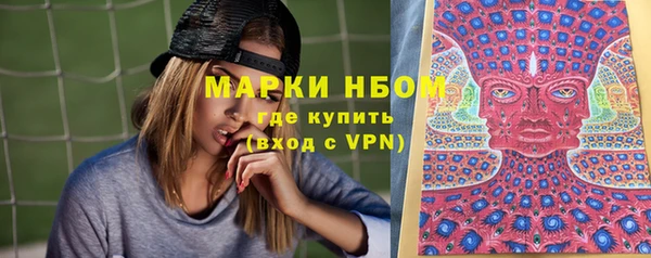 МДПВ Дмитриев