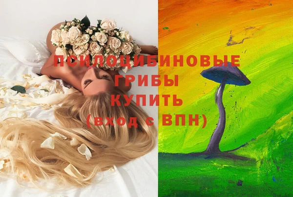 МДПВ Дмитриев