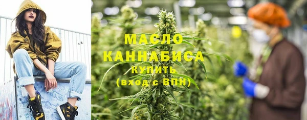 МДПВ Дмитриев