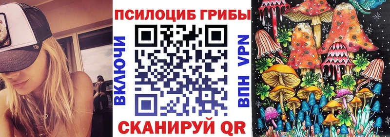 что такое наркотик  Кашин  Псилоцибиновые грибы Psilocybe 